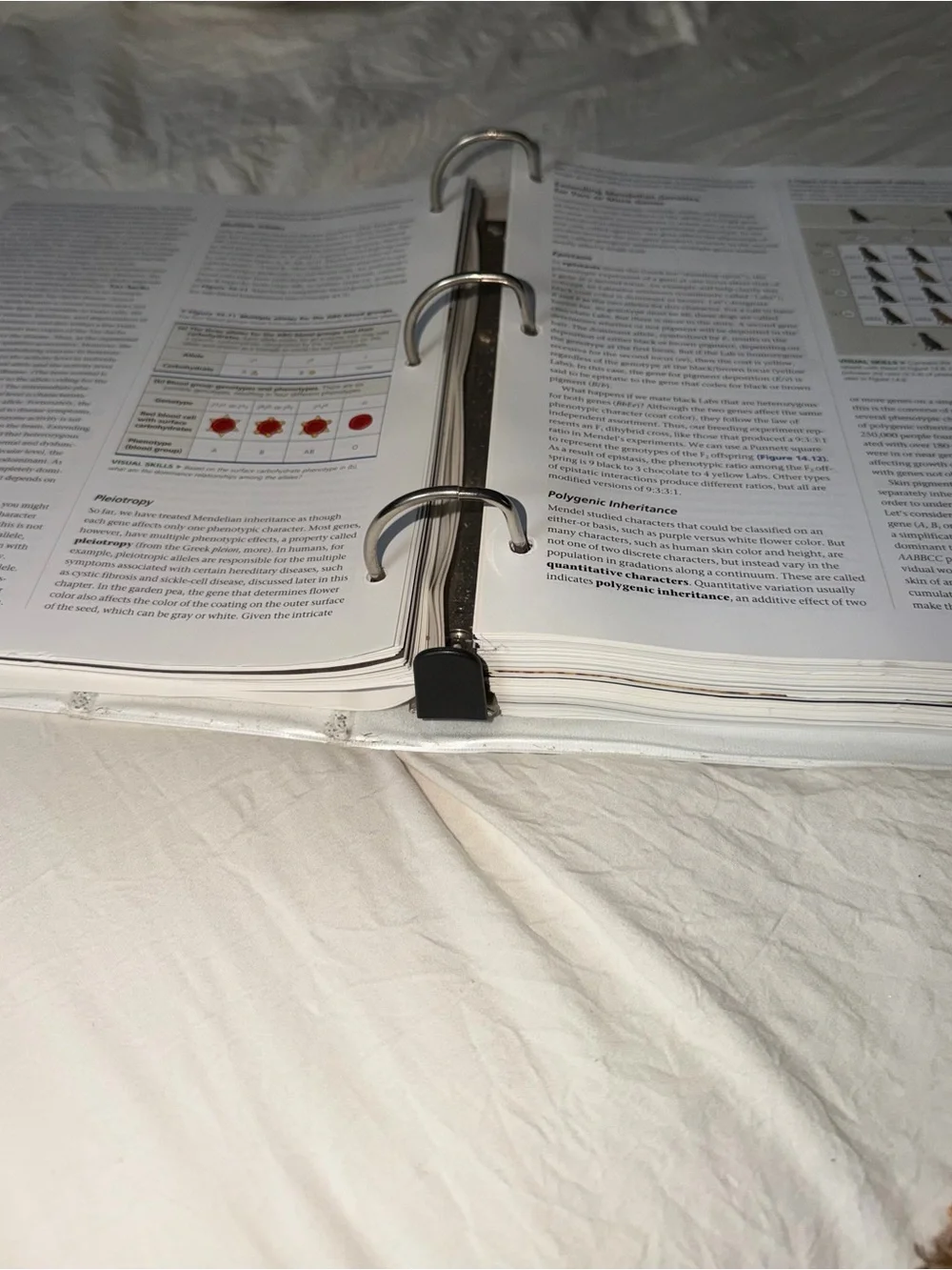 Campbell Biology (11th edition) - Paperback by Lisa A. Urry [binder included]